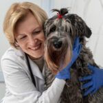 Veterinar în București.